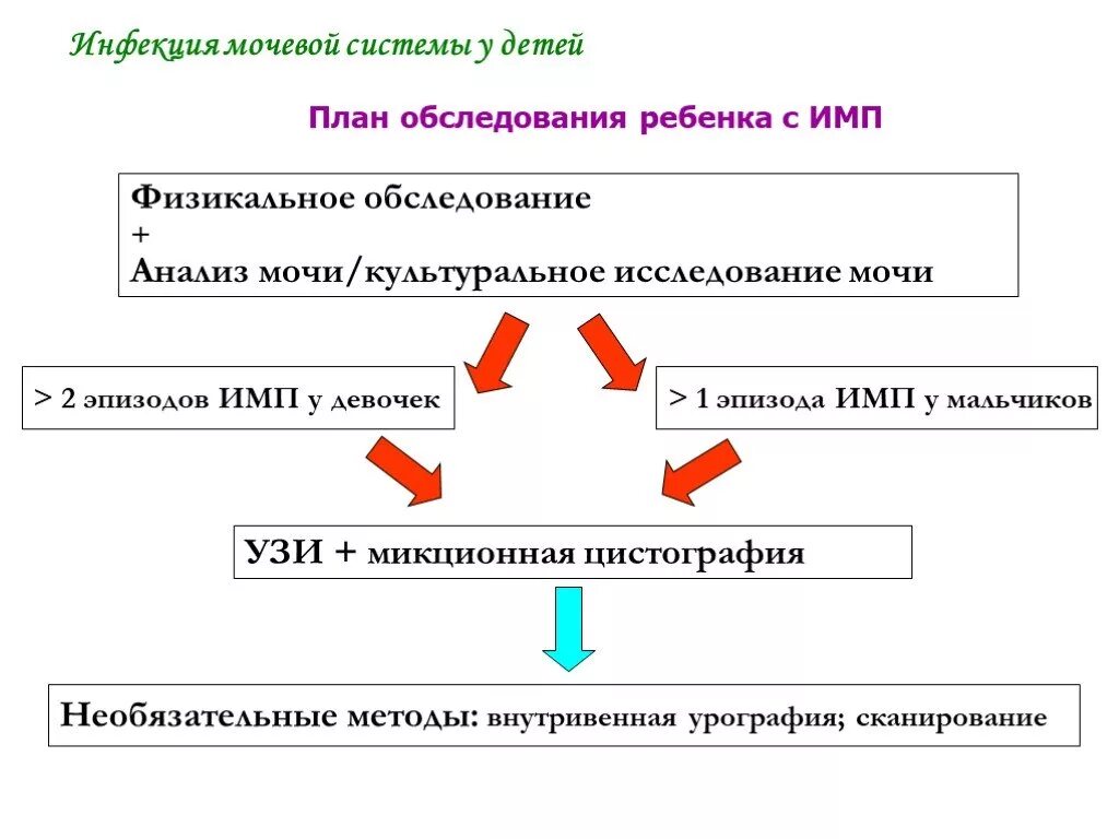 Инфекция мочевыводящих путей у ребенка 2. Классификация инфекций мочевыводящих путей у детей. методика обследования мочевой системы у детей. план обследования при инфекции мочевыводящих путей. схема диагностики инфекции мочевыводящих путей.