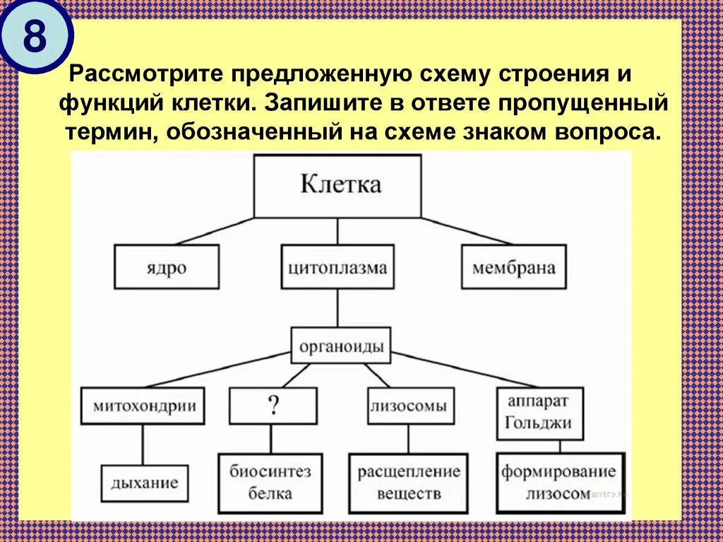 Схемы по биологии. Схема понятий по биологии. Рассмотрите предложенную схему строения и функций клетки. .. Схема компоненты клетки. Рассмотрите предложенную модель и выполните следующие задания