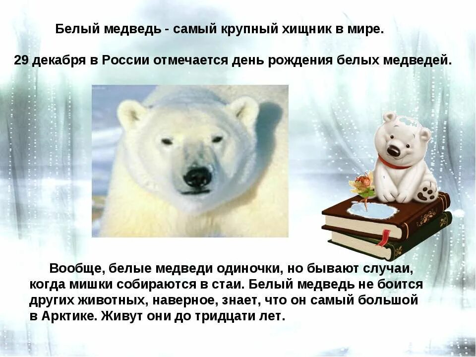 День рождения белого медведя 29 декабря. Жень белог медведя. Белый медведь на день рождения. День белого медведя.