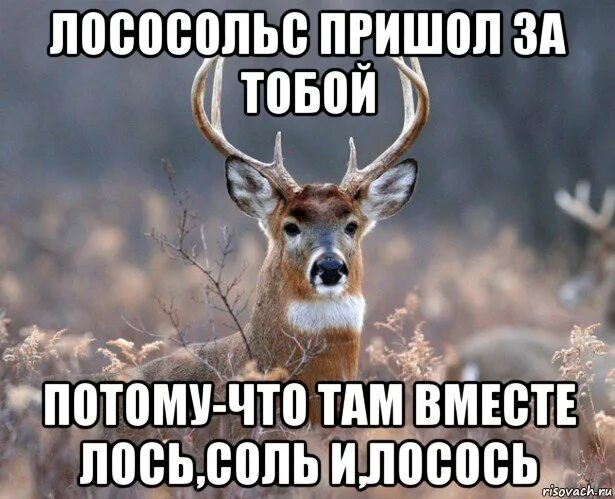 Пришел или пришол