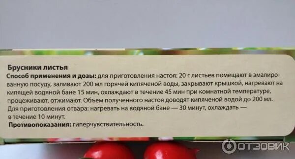 Листья брусники показания. Брусника лист. Брусника листья инструкция по применению. Лист брусничника инструкция. Листья брусники инструкция к применению для чего