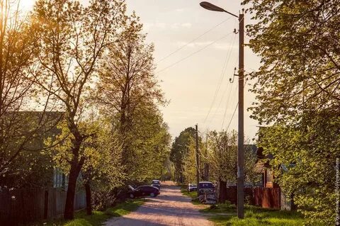 Погода в максатихе на 10 дней