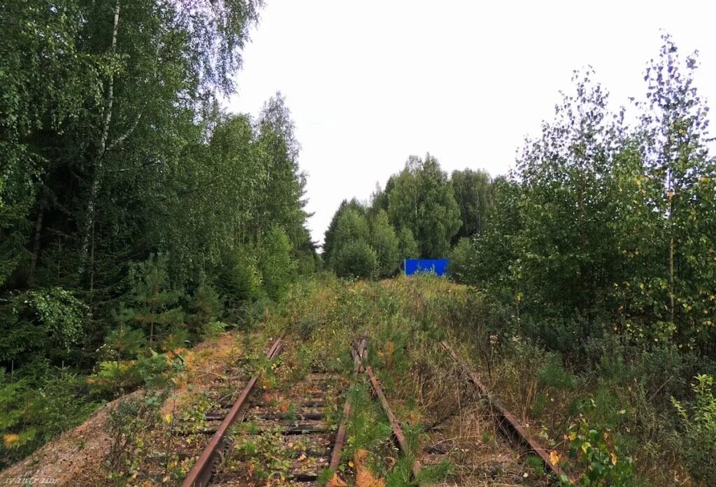 Погода в кильмези удмуртской на 10. Река кильмезь кировская область. Посёлок городского типа кильмезь. Пеледыш пайрем марий эл. План реки кильмезь.
