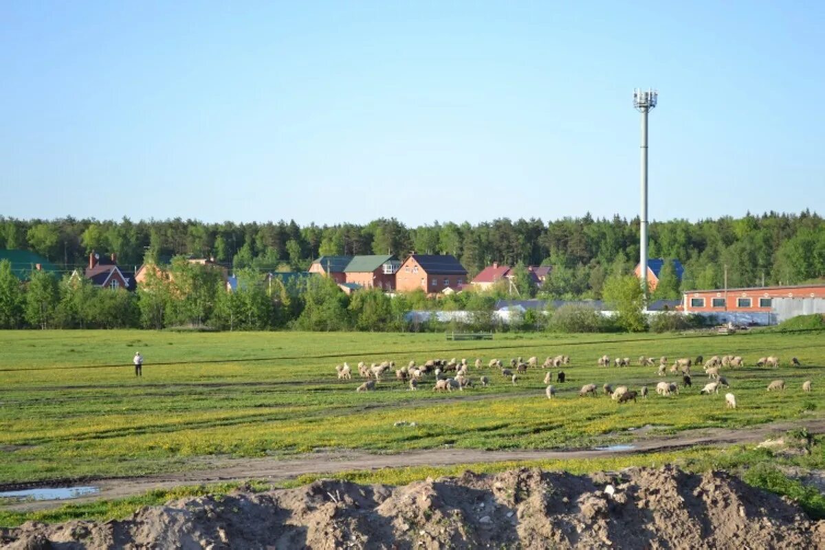 большие жеребцы щелковская. деревня большие жеребцы щелковский район. деревня большие жеребцы щелковский район. деревня большие жеребцы. большие жеребцы щелковская.