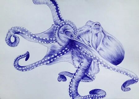 Осьминог рисунок карандашом