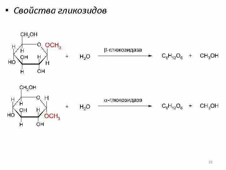Гидролиз n гликозидов. Гликозиды производные углеводов. Гликозиды моносахаридов гидролиз. Гидролиз o-гликозида. Щелочной гидролиз глюкозы