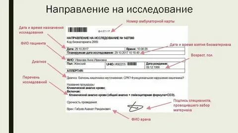 Как оформлять направление