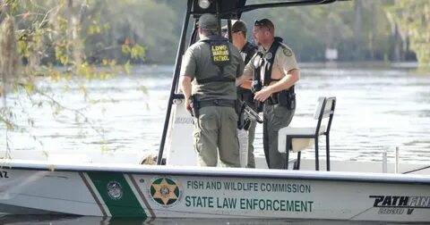 Wildlife services