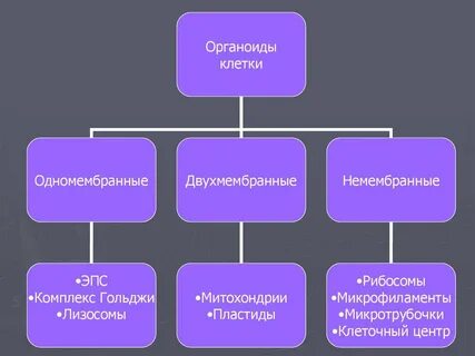 Службові частини мови