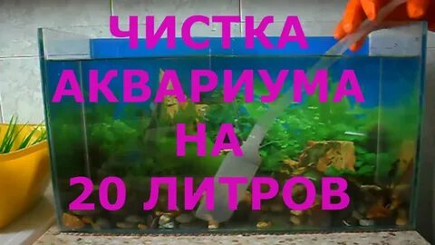 Как правильно помыть аквариум