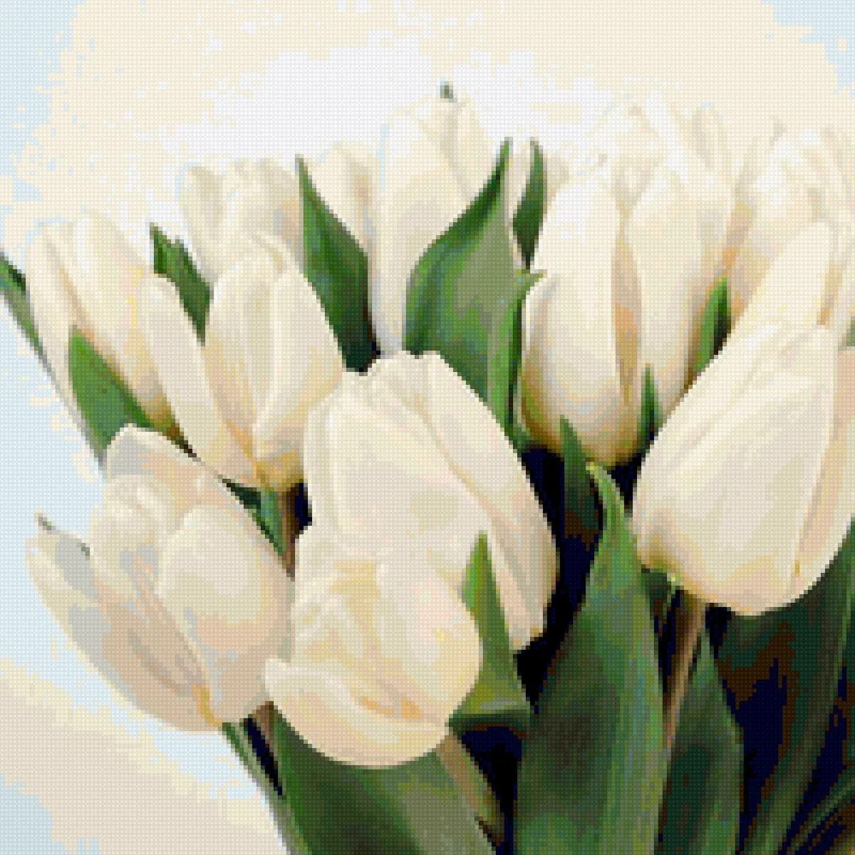 Покажи белые тюльпаны. Белые тюльпаны. Белые тюльпаны. Тюльпан аннелинда уайт. Тюльпан уайт прауд.