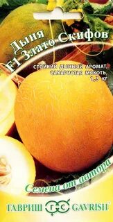 Дыня злато скифов