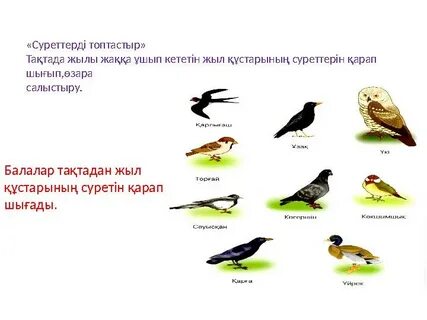 Сексуалды қыздар жігіттің аузына сисады