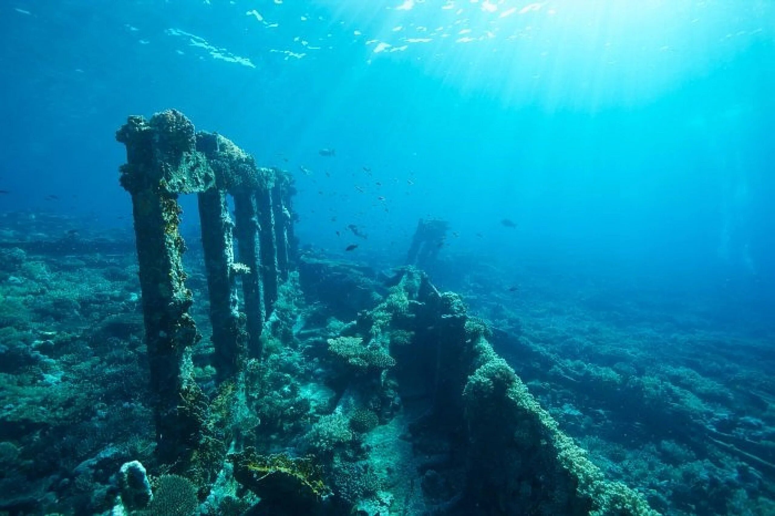 Что находится в морской воде