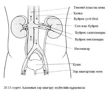 Сексуалдық комикстерді алдау