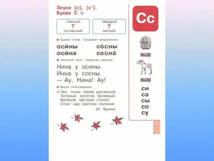 Звуковая схема слова сосна