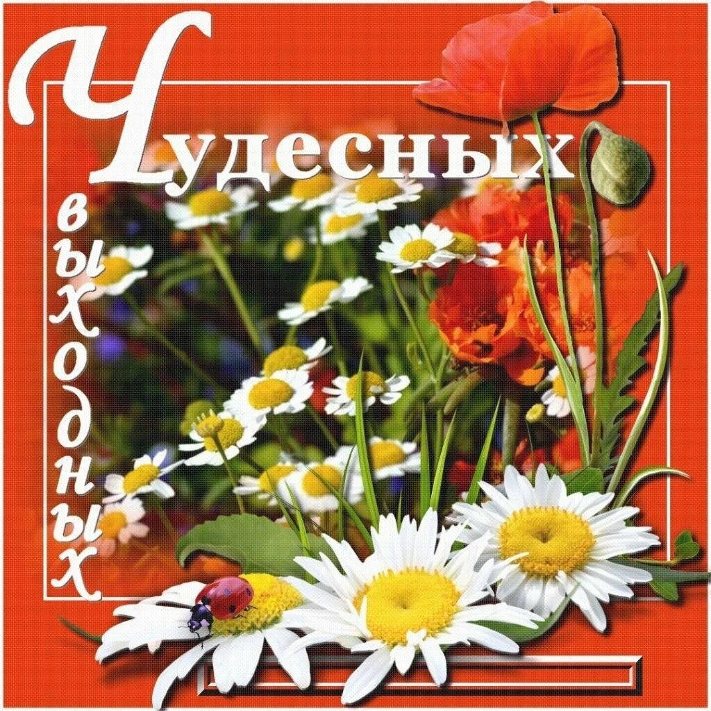 Чудесного летнего дня. Доброго солнечного дня. Отличных выходных. Приятных выходных. Прекрасного отдыха в выходные.