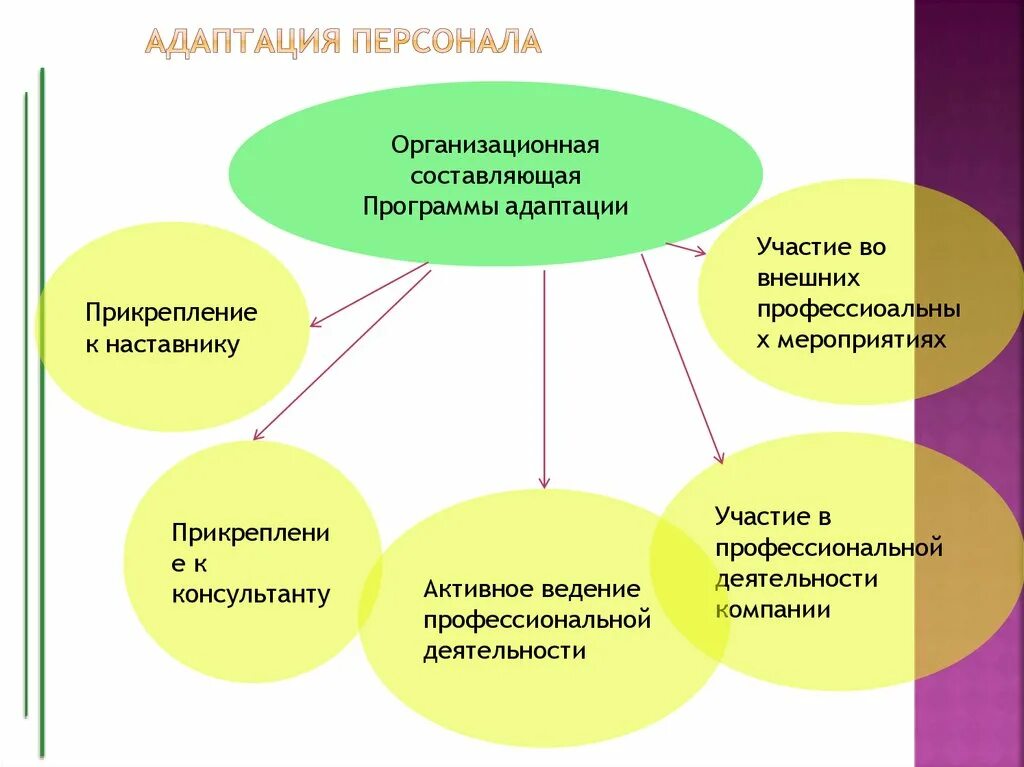 Типы адаптации персонала. Схема процесса адаптации. Схема адаптации нового сотрудника. Цель системы адаптации персонала.