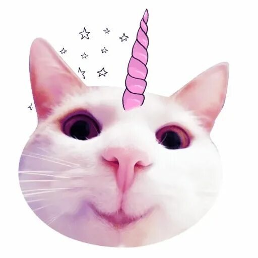 Покажи котиков единорогов. Покажи котиков единорогов. Как нарисовать кота единорога. Кот единорог. Кошка с рогами.