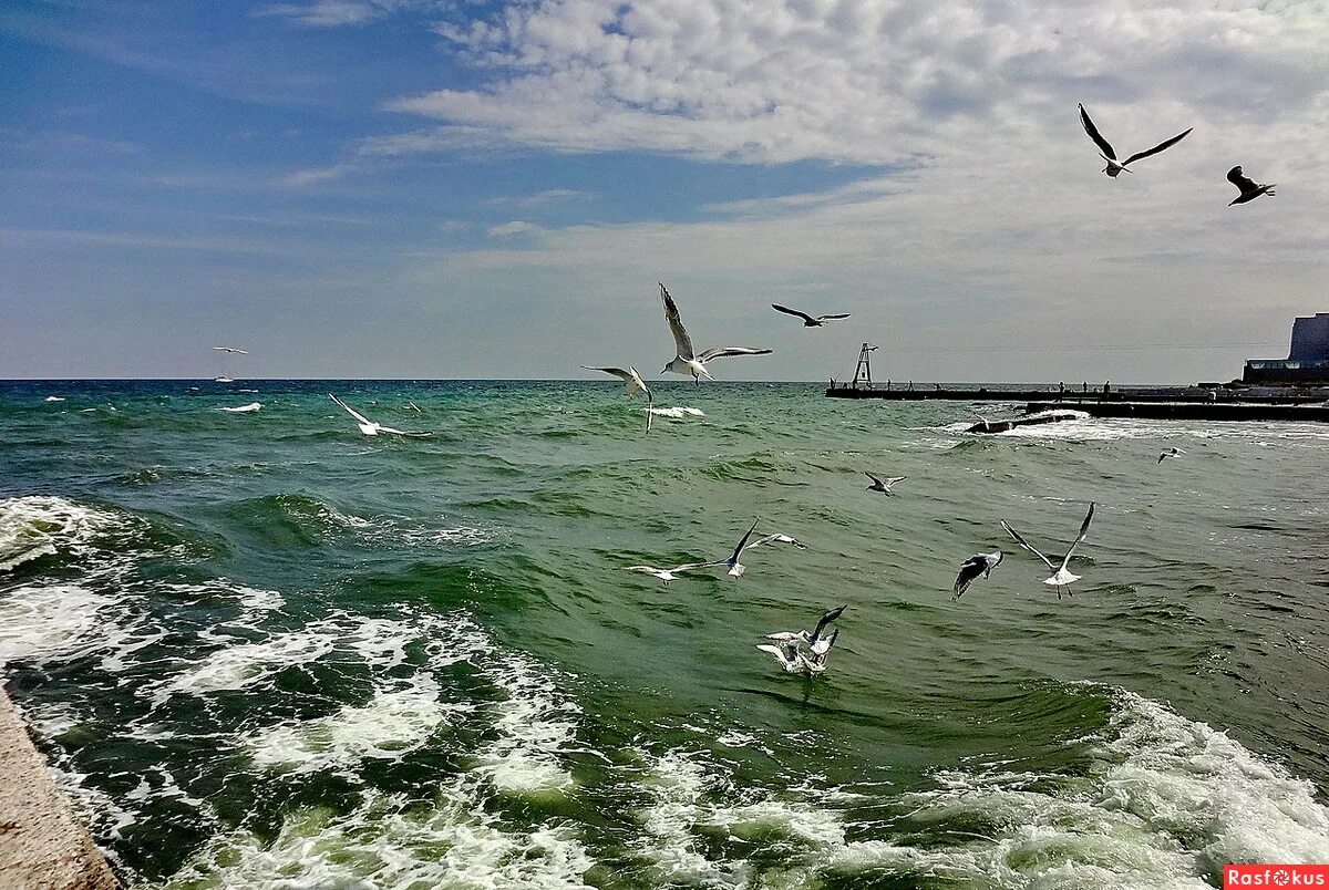 Одесское море