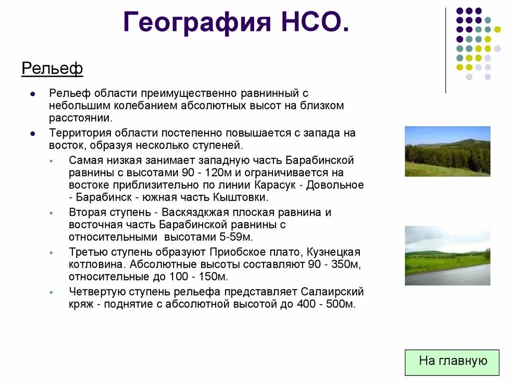 Нсо информация. Формы рельефа новосибирской области. рельеф территории новосибирской области. описание рельефа нсо. рельеф новосибирской области кратко.