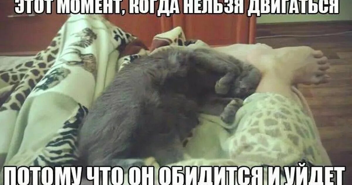 Почему нельзя будить спящего