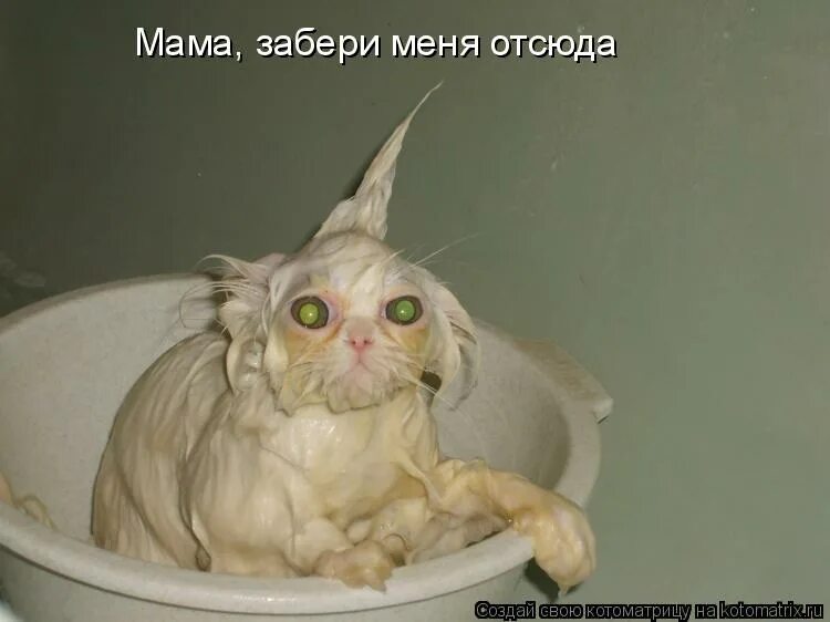 скорый увези меня отсюда. скорый увези меня отсюда. картинки поднимается настроение. картинки заберите меня. забирая меня скорей увози меня.