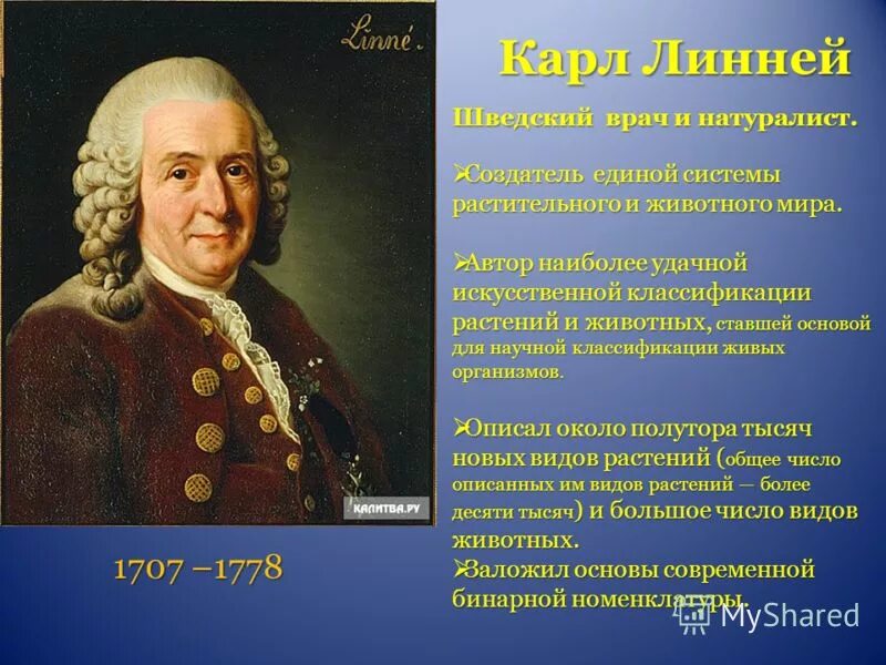 классификация растений и животных ученый. линней систематика. систематика растений и животных 5 класс биология. карл линней систематика. систематикцарства растений.