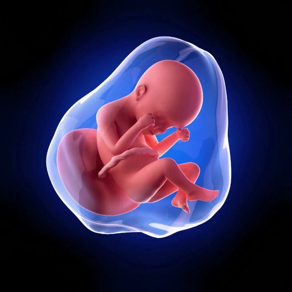 Pregnant 24 weeks. Week 24. Фото женщин 24 неделя. Беременность 24 неделя фото животиков. Week 24.