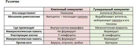 Клеточная и гуморальная иммунная система
