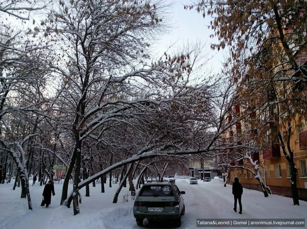 Сквер в стерлитамаке зимой. Природа в городе стерлитамак. Стерлитамак зима. Стерлитамак зима. Стерлитамак город зимой.
