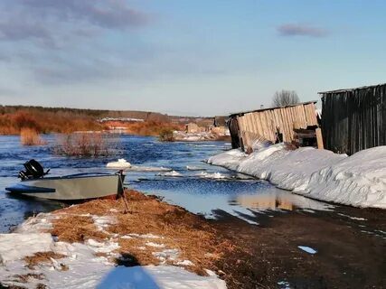 Погода в сосновке пинежский