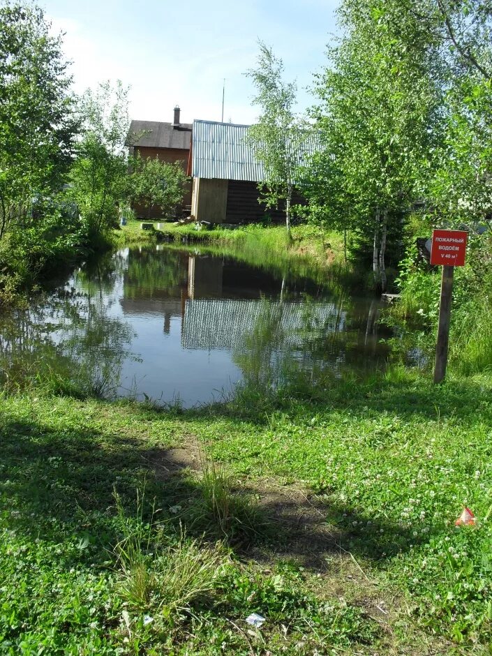 Пупышево ленинградская область купить. Пупышево Ленинградская область. Чаженка Пупышево. Садоводство Пупышево Ленинградская область. Пупышево пруд.