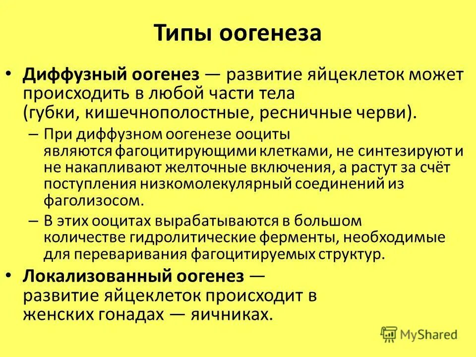 Стадия размножения оогенеза. Фазы овогенеза схема. Типы оогенеза. Этапы овогенеза схема. Типы оогенеза.