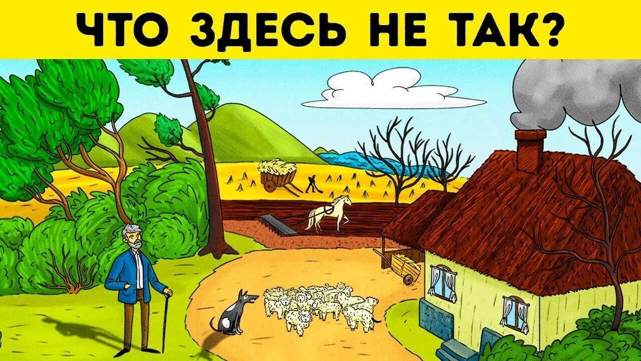 Загадки на внимательность. Головоломки на внимательн. Загадки на внимание. Что здесь не так картинки. Сына здесь не будет