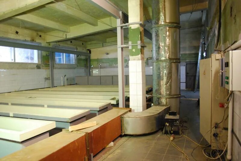 гальваника бронзирование. украшения из медного листа. гальванопластика серебро. предметы гальваника. гальваника насекомых.