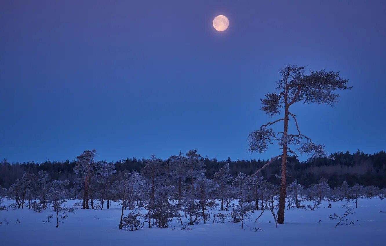 Pin by Dorotea Gonçalves on Boa noite Beautiful moon, Nature photography, Nature
