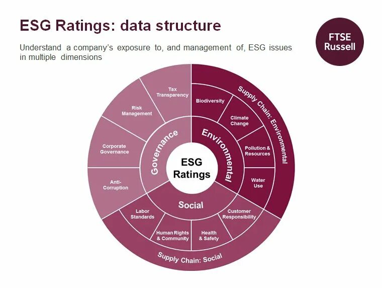 Esg рейтинг компаний. FTSE Russell. ESG. ESG модель. ESG инфографика.