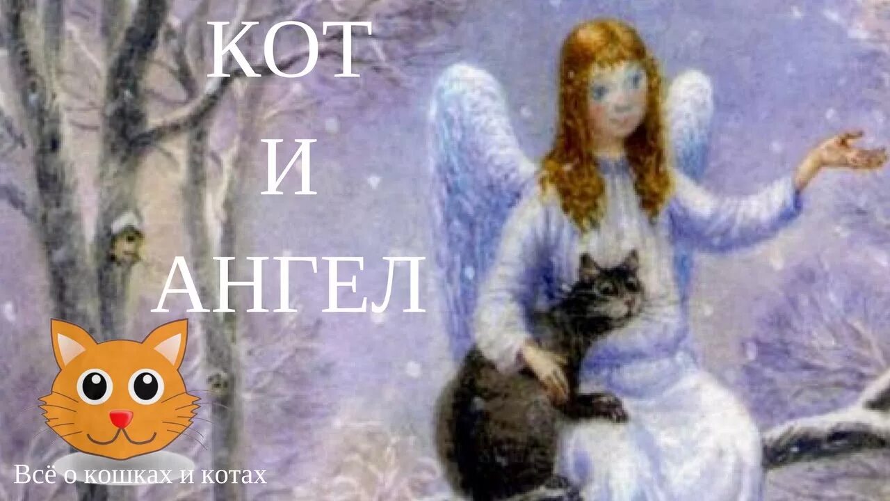 Кот асса. Сказки про кота и ангела. Кот и ангел сказка. Кот и ангел самая добрая сказка. Кот и ангел самая добрая сказка.