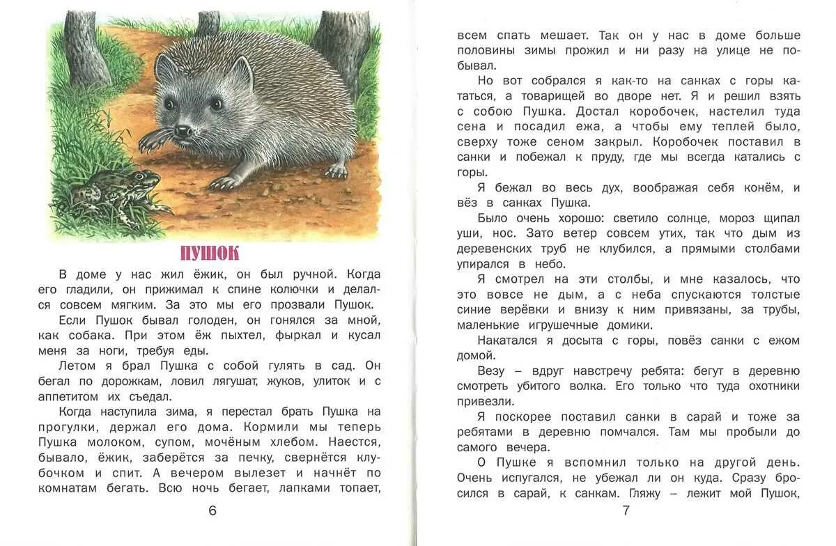 Сказка для 8 9 лет читать