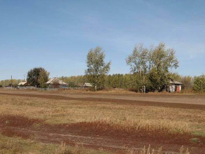 Погода рожнев лог. Село Рожнев Лог Ребрихинский район. Рожнев Лог Ребрихинский район Алтайский край. Село Рожнев Лог Алтайский край. Школа Рожнев Лог Ребрихинский район Алтайский край.