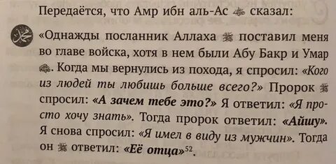 Увы я не пророк