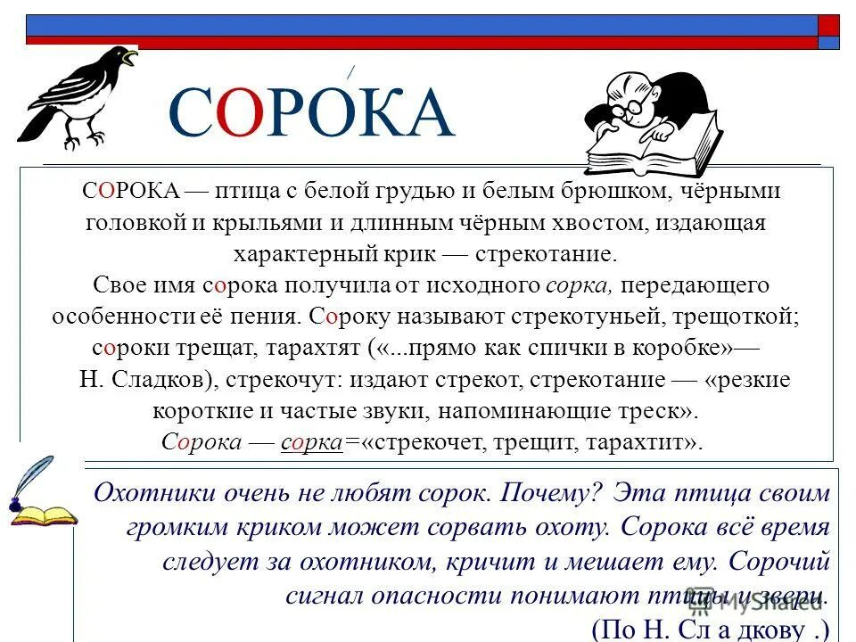 Сорок получить. Этимология слова сорока. Сорока этимология. Сорока трещит. Сорок получить.