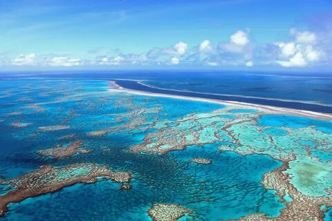 Самое крупное море австралии