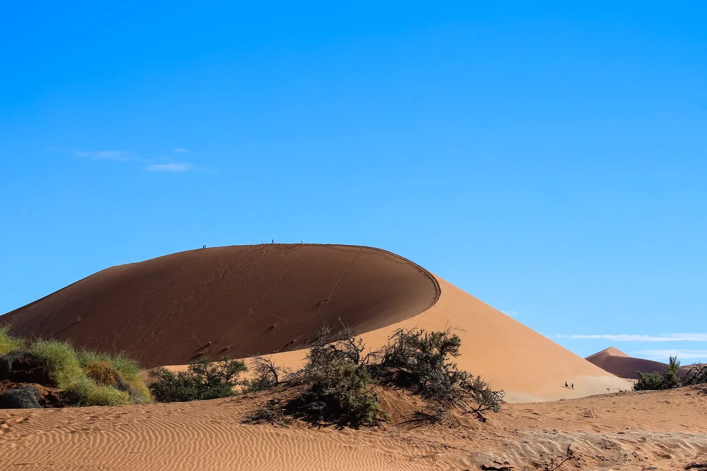Алешковские пески херсонская. Полупустыни и пустыни астрахань. Растения пустыни перекати поле. Как называется песчаный. Песочные пустыни.