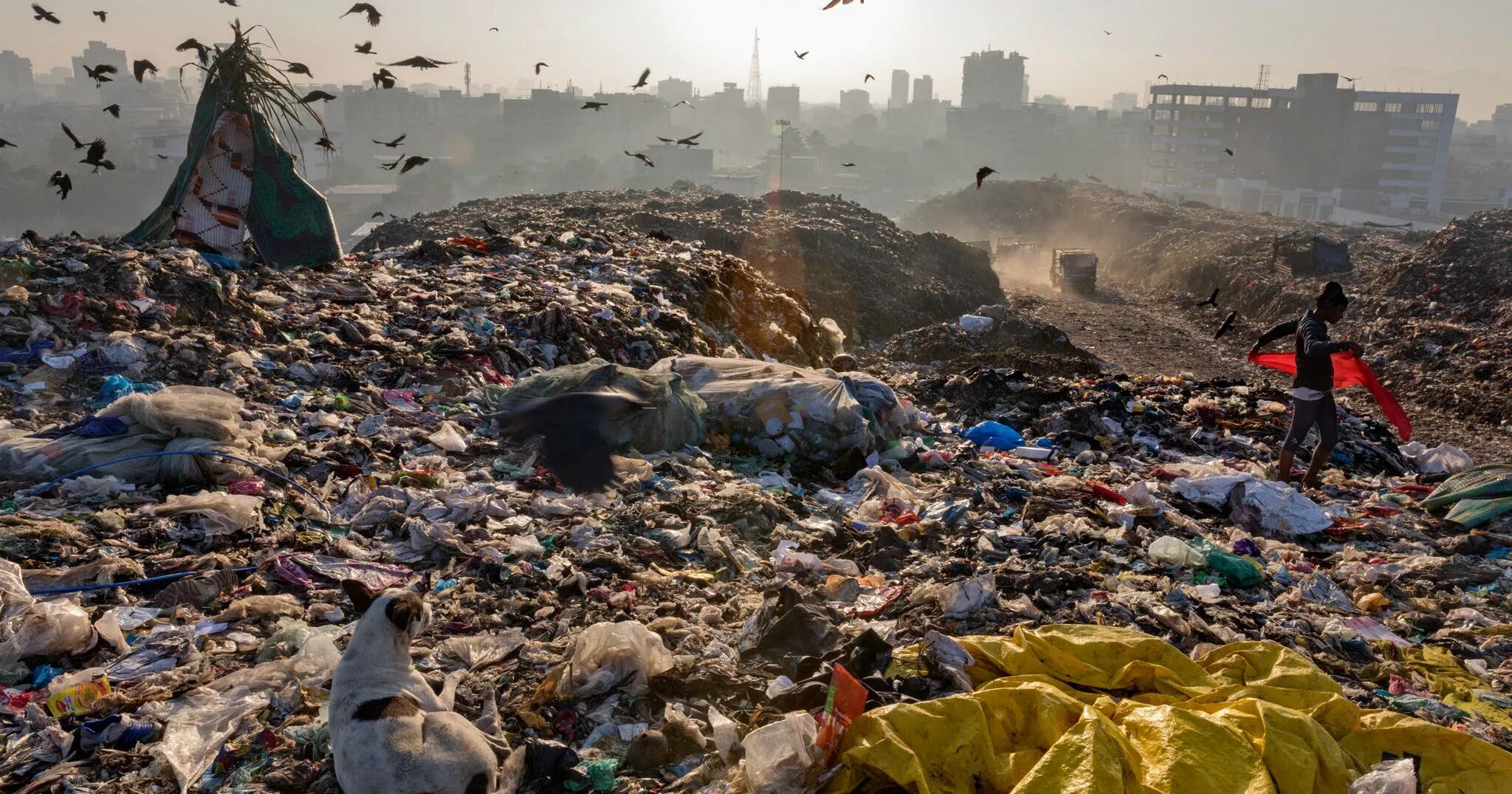 5 экологическая проблема