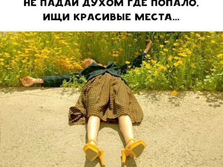 День почесывания за ухом. Включи не падай. Включи не падай. Не падать духом где попало. Не падай духом где попало ищи красивые места.