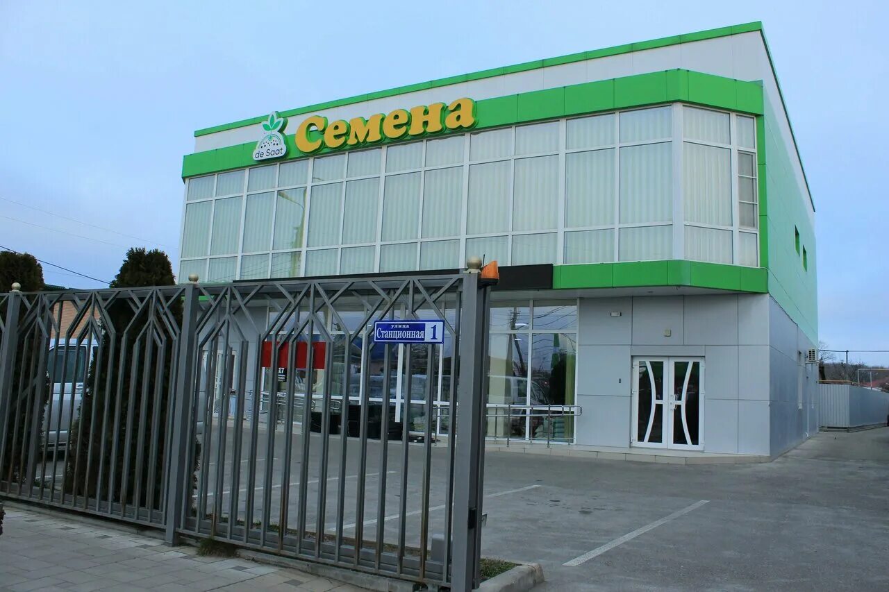 Семена курганинск