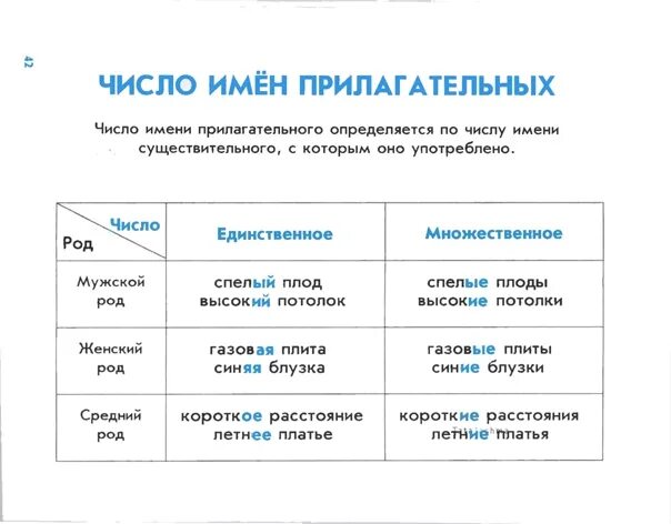 Школа мужской род. Правила русского языка. Правила по русскому языку для начальных классов. Русский правила. Основные правила русского языка.