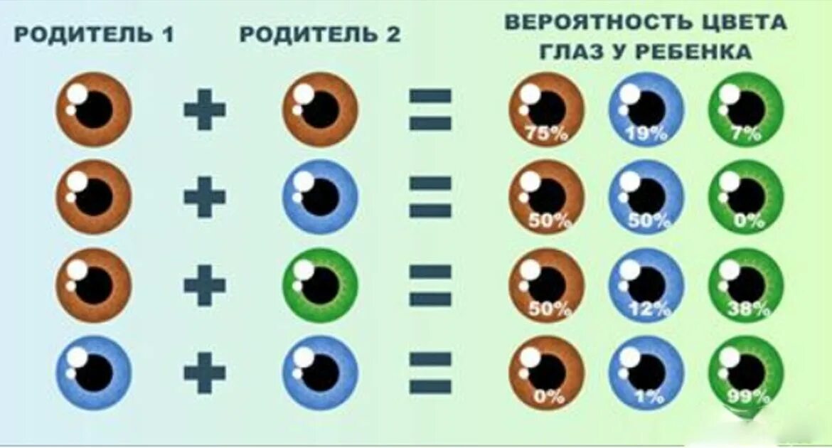 Сайт какой будет ребенок. Вероятность цвета глаз. Смешивание цвета глаз. Смешение цвета глаз. Цвет глаз роителей и ребёнка.